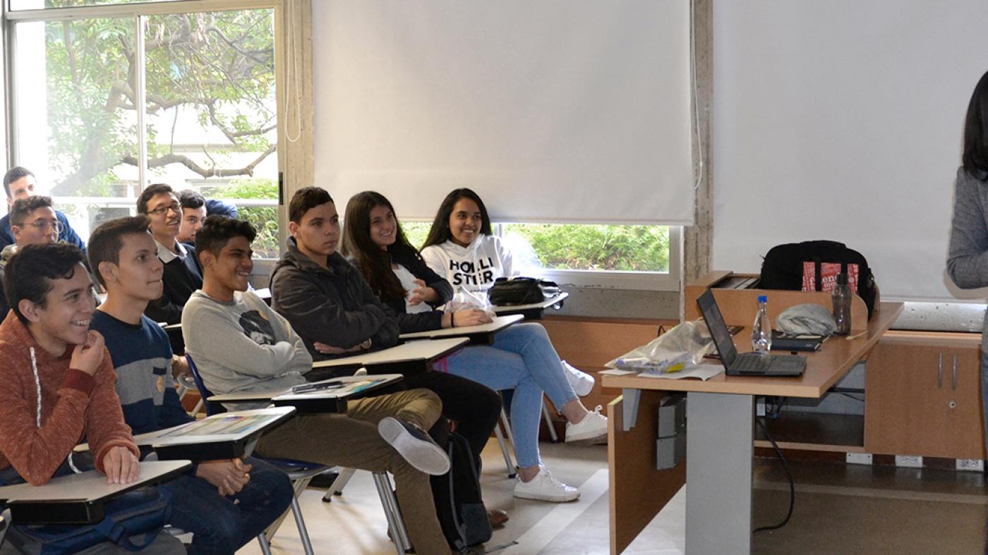 Programas académicos de los cursos de pregrado