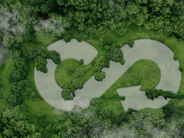 2025-Valoracion-economica-ambiental-politica-publica.jpg