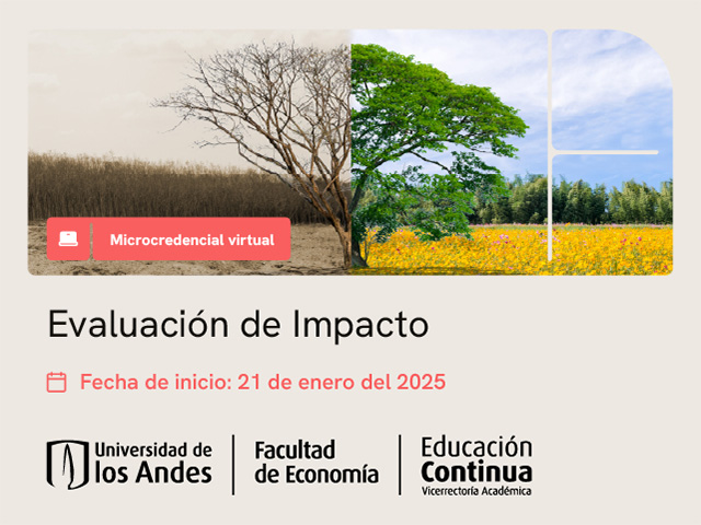 2025-Evaluacion-de-impacto.jpg