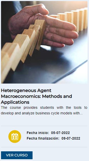 Heterogeneous-Agent-Macroeconomics-Methods-and-Applications-2022