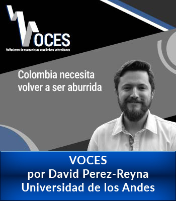 Voces-david-perez-reyna