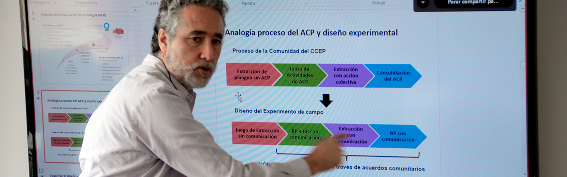 facultad de economía, pregrado