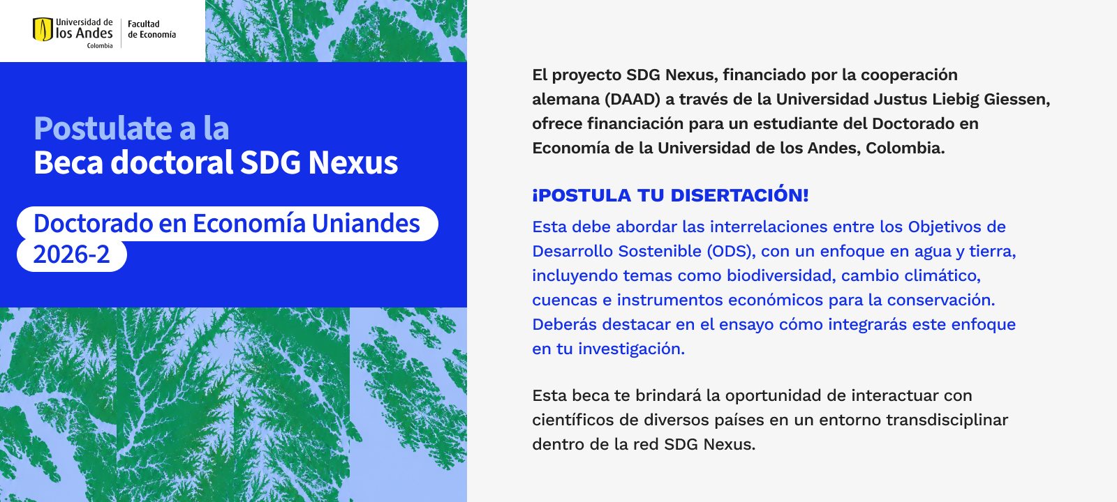 Beca-sdg-nexus-doctorado-economia-20262.png