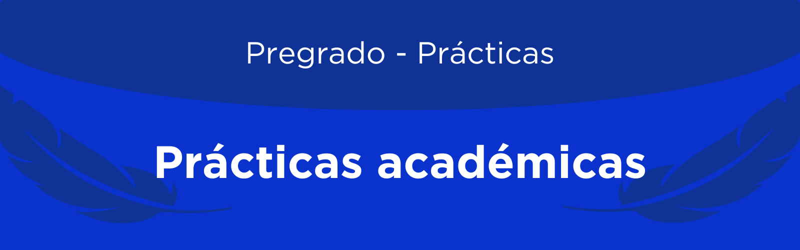 Encabezado-practicas-academicas.png