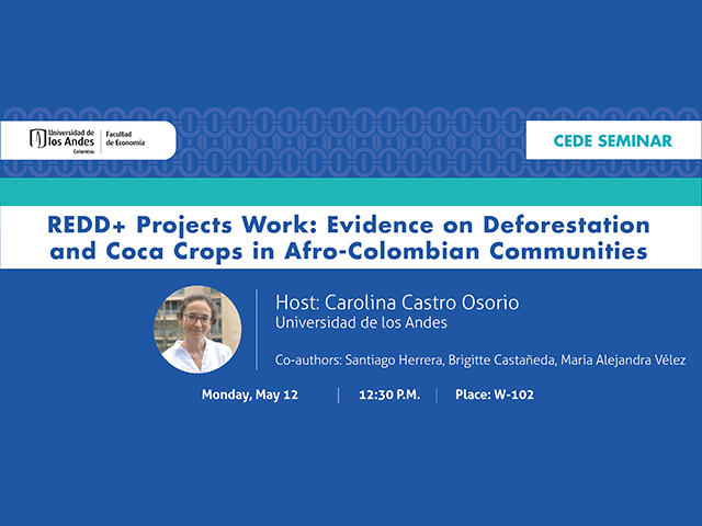 SeminarCEDE-2025-05-12-Carolina-Castro-eng.png