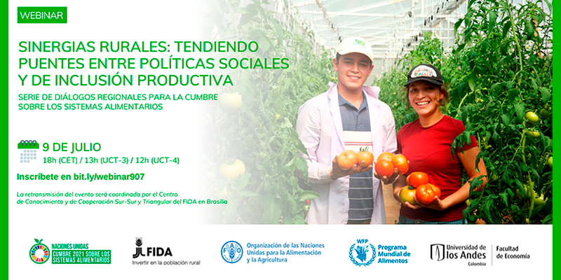 Imagen Webinar | Sinergias rurales: Tendiendo puentes entre políticas sociales y de inclusión productiva