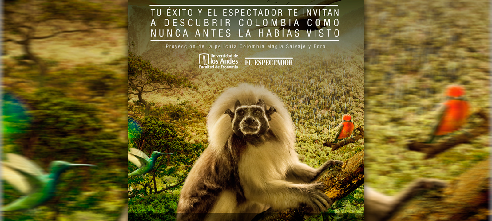 Colombia Magia Salvaje