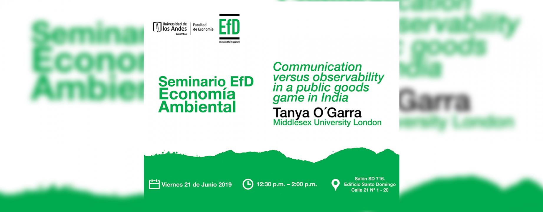 Seminario EFD economía ambiental