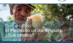 Imagen El plebiscito un día después: ¿Qué cambia?