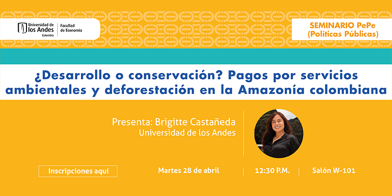 Imagen Seminario PePe - Brigitte Castañeda