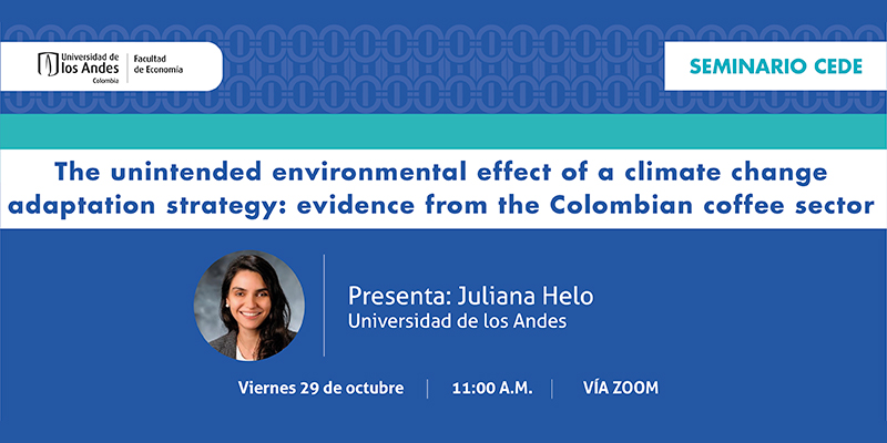 Imagen Seminario CEDE - Juliana Helo