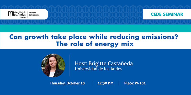 Imagen Seminario CEDE - Brigitte Castañeda