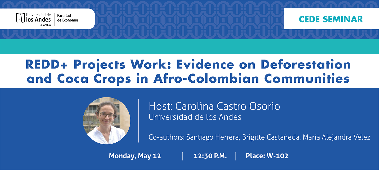 Seminario CEDE - Carolina Castro