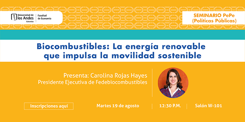 Imagen Seminario Pepe - Carolina Rojas