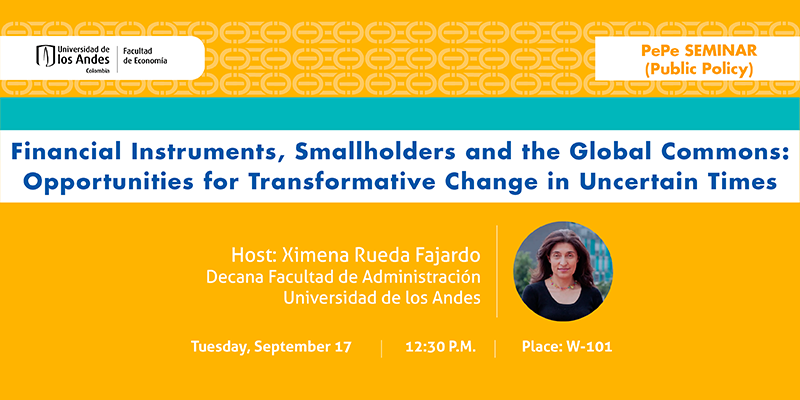 Imagen Seminario PePe - Ximena Rueda