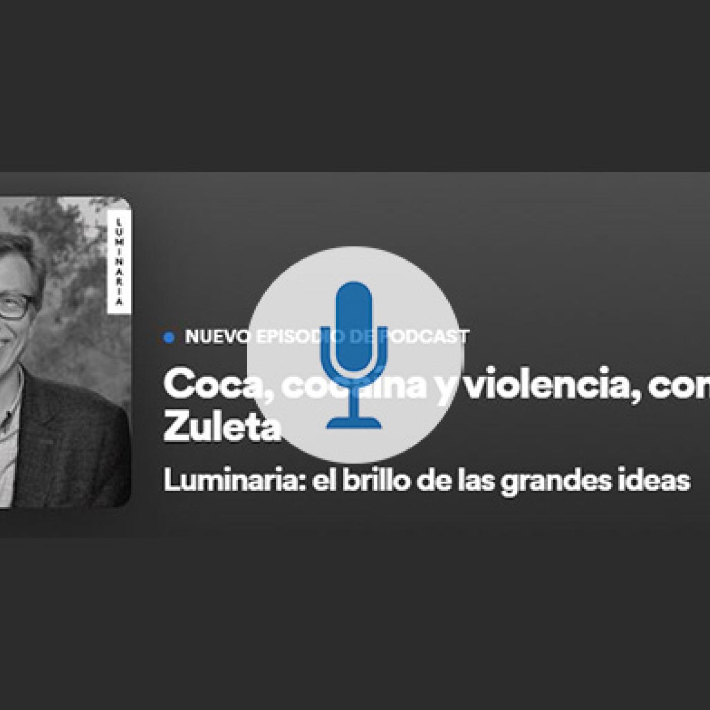 Coca, cocaína y violencia, con Hernando Zuleta