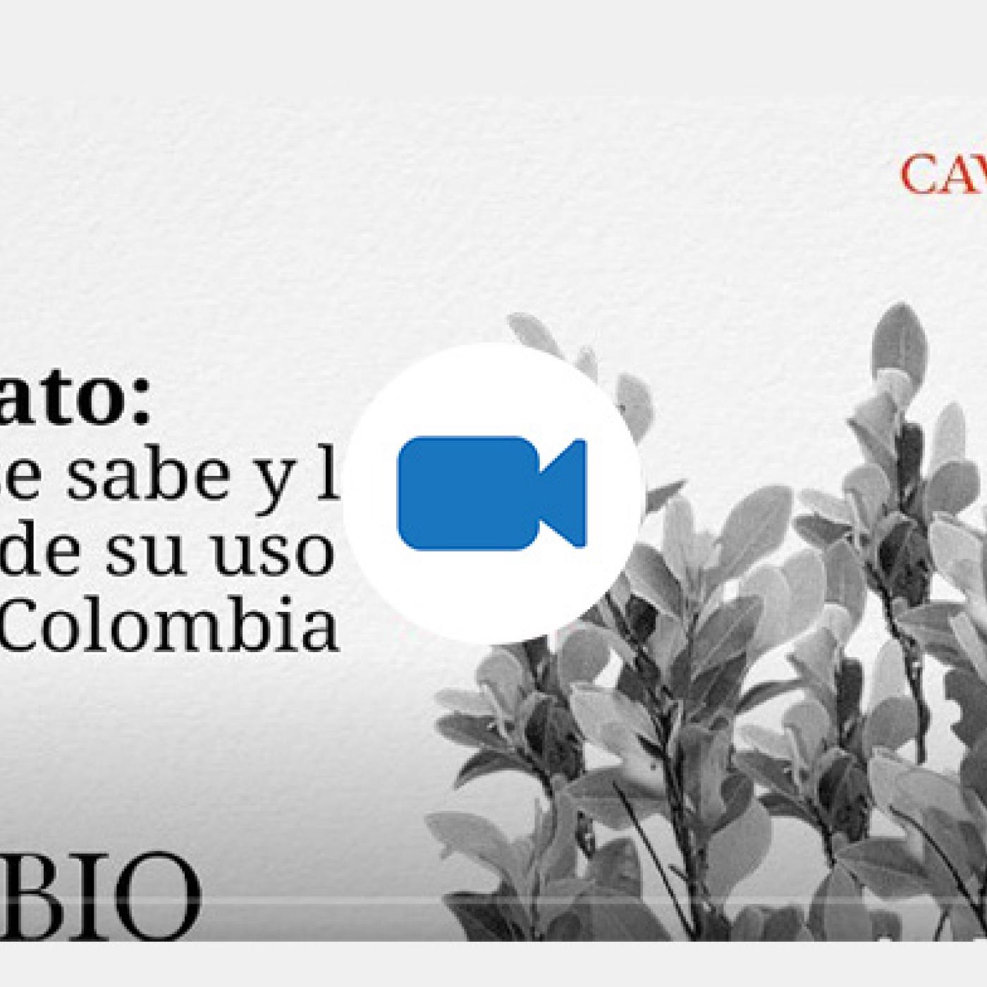 Glifosato: lo que se sabe y lo que no de su uso en cultivos de uso ilícito en Colombia