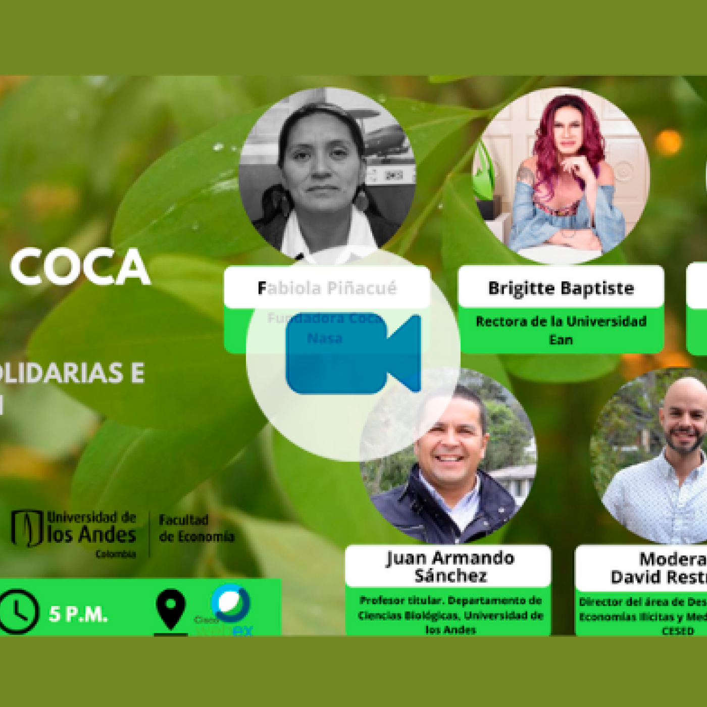 Panel - Hoja de coca legal