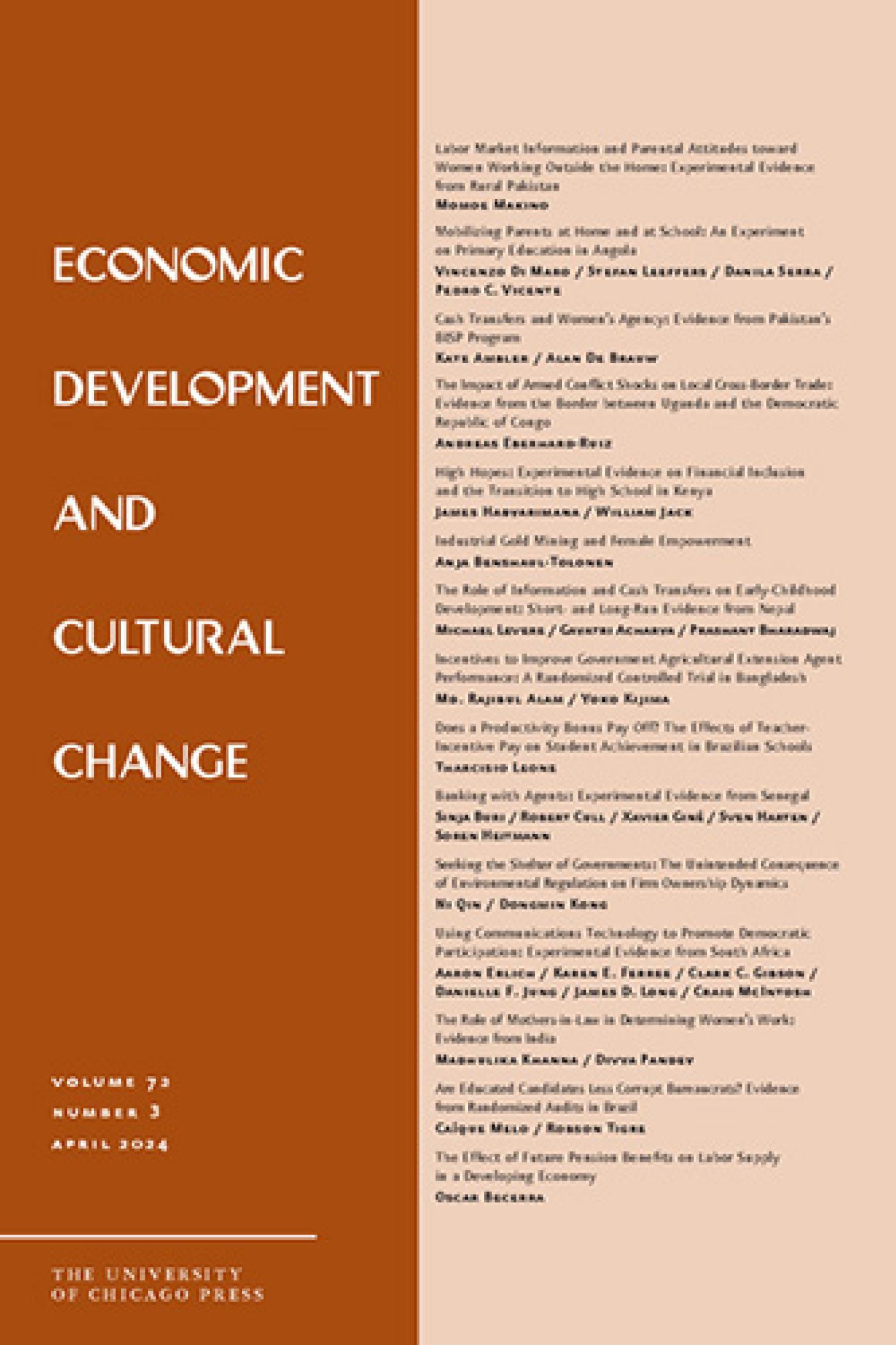 The Effect of Future Pension Benefits on Labor Supply in a Developing Economy