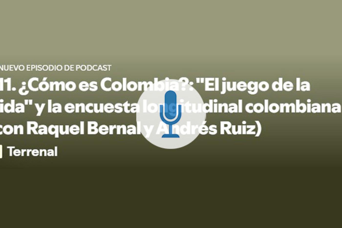 ¿Cómo es Colombia?: "El juego de la vida" y la encuesta longitudinal colombiana (con Raquel Bernal y Andrés Ruiz)
